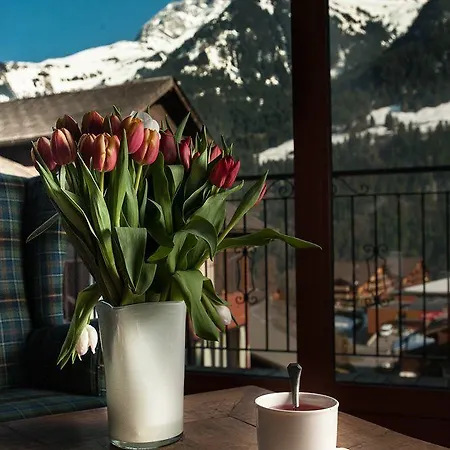 Suisse Ξενοδοχείο Champéry